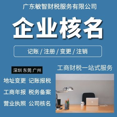 代辦公司注冊(cè) 商務(wù)服務(wù)